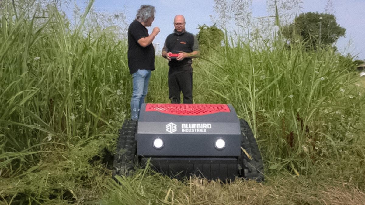 Svettatoi Telescopici Manuali: La Guida Definitiva per Potare Rami Alti in Sicurezza, Senza Scala - Copertina